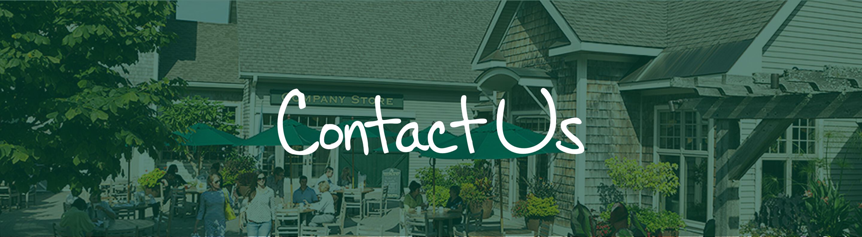 Contact Us