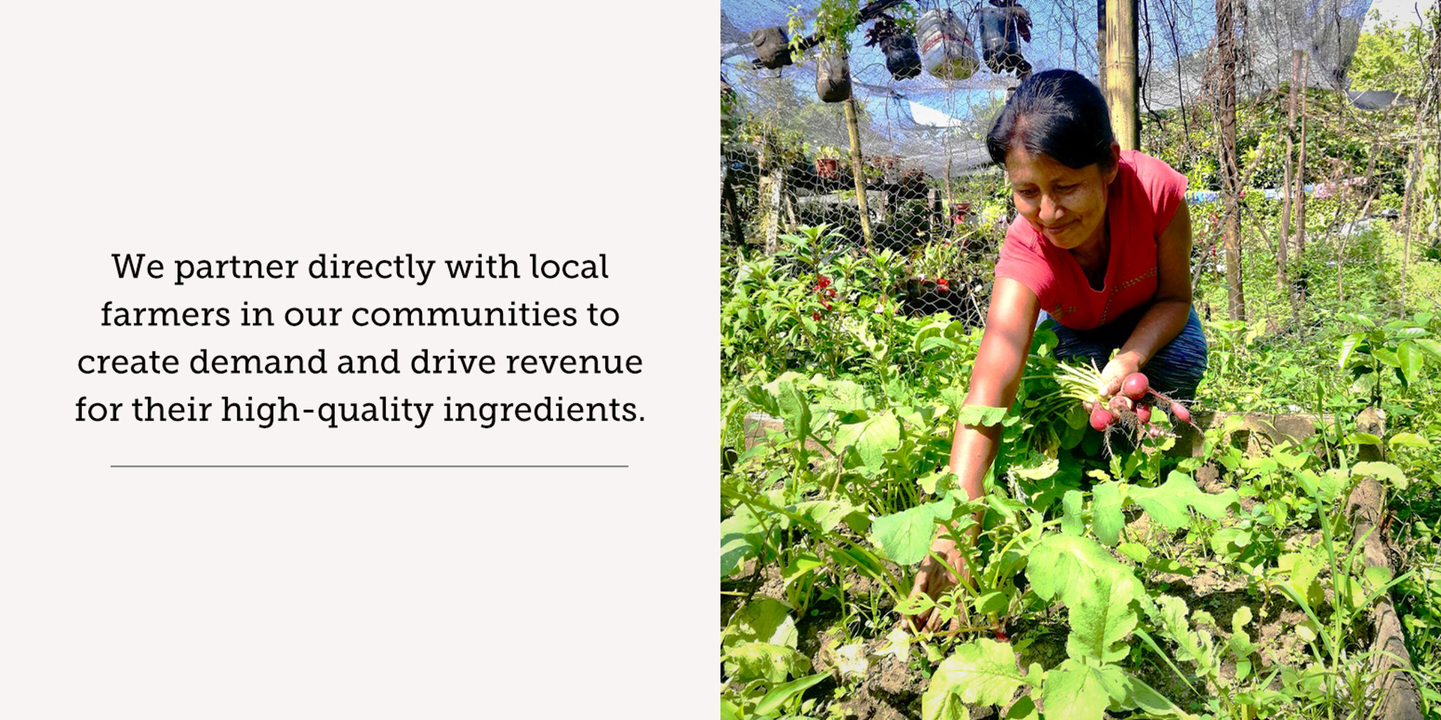 We partner directly with local farmers in our communities to create demand and drive revenue for their high-quality ingredients.