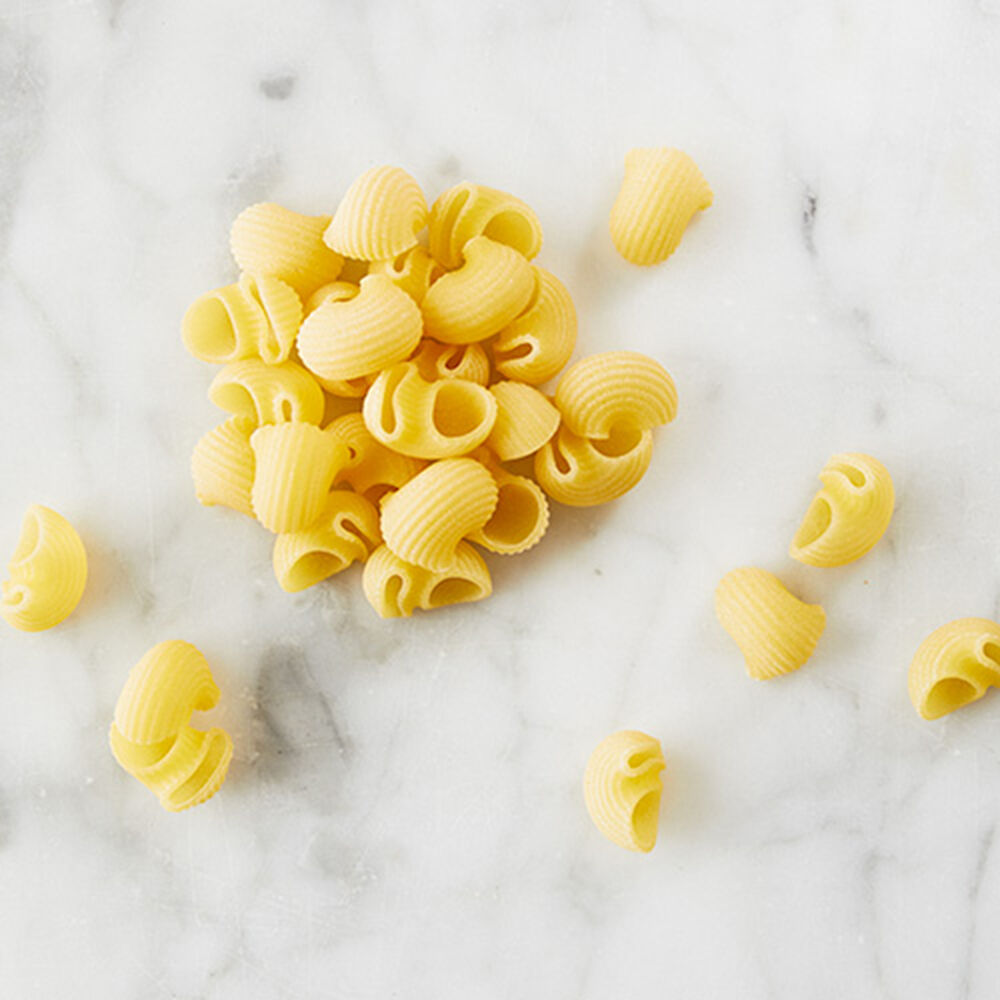 Conchiglie