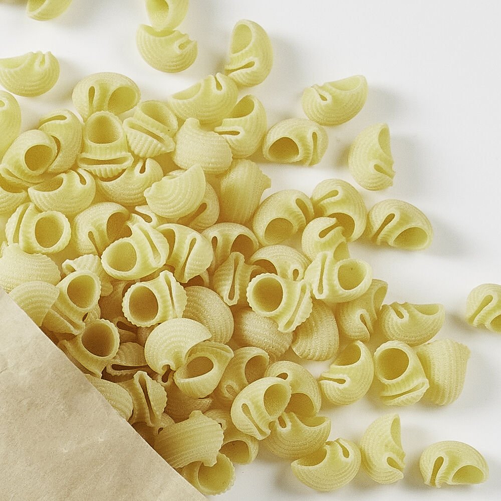 Conchiglie